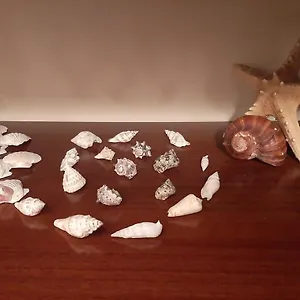 Casa Lo Scoglio Della Ballerina Апартаменты